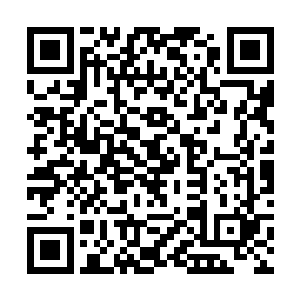 原本的恐怖的压抑的气息随机也直接消失的无影无踪二维码生成