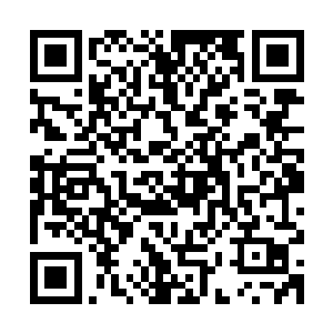 原本的时候凭借龙族的强大的战斗力还勉强能够抵抗对方的攻击二维码生成