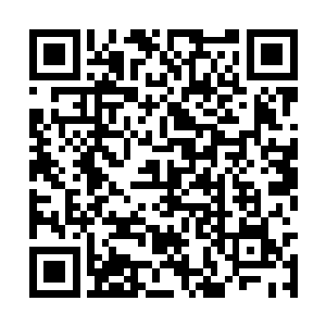 原本看着苏落杀死四年级六十五名这种程度的高手二维码生成