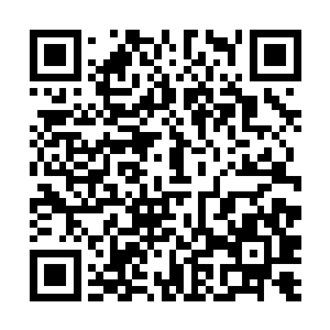原本秦方还以为这里特殊的磁场影响了自己的生命值二维码生成