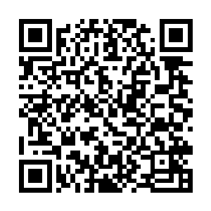 原本积攒的委屈不知道是哭没了还是被她这话气没了二维码生成