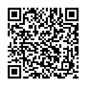 原本站在刘一维等人身后的硕士生博士生等人纷纷朝两边让开二维码生成