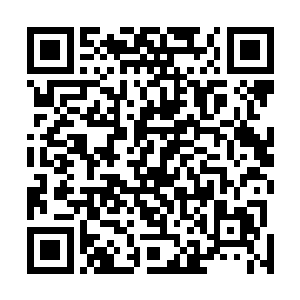 原本自信满满的林妈妈没有想到大小姐是这么拒绝自己的二维码生成