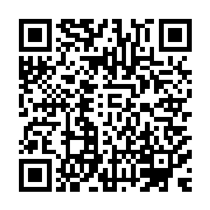 原本被寒风吹得冷透了的后背就能贴上一具温暖而坚实的胸膛二维码生成