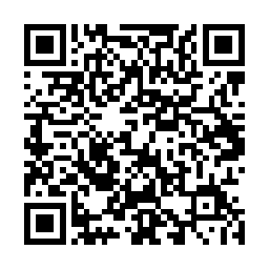 原本被幽冥猫打散的剑气忽然朝着一个方向开始汇聚了过去二维码生成