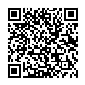 原本被废弃的丹田就在丹药的修复之下慢慢的恢复了二维码生成