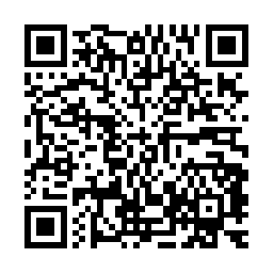 原本被心尘泪弄的有些恍惚的修仙者们突然爆出一句愤怒的声音二维码生成