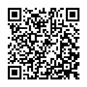 原本被折腾的无精打采的流墨墨现在倒是有了些精神二维码生成