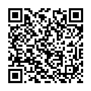 原本被镇压在山巅之上的苍月也不知哪里来的力气二维码生成