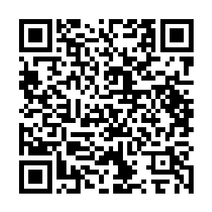 原本貌美如花倾国倾城的妻子就这样倒在了自己的面前二维码生成