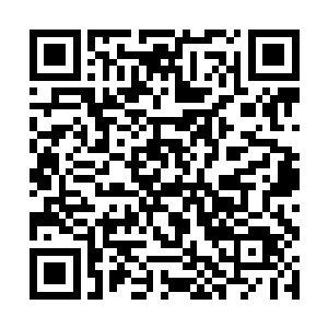 原本走在楼梯正中的她身体僵硬的靠在了楼梯的边上二维码生成