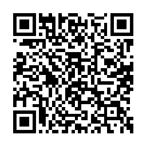 原本还在为这条道路没什么车辆而感到很是满意二维码生成