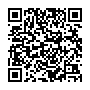 原本还有心思出手的众人这会儿全部都安静了下来二维码生成