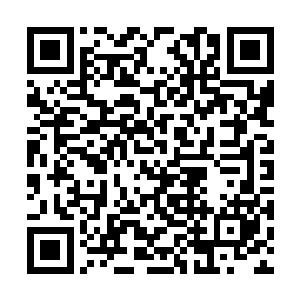 原本还有着不少幼蜂身影的蜂房却是瞬间全部消失二维码生成