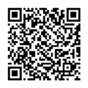 原本还蠢蠢欲动的各路人马也不由自主的收回了脚步二维码生成