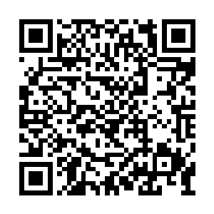 原本这些旁门弟子都一直羡慕他们这些正宗弟子二维码生成