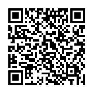 原本连品相一般的沉疴墨莲都形成的可以进化的基调二维码生成