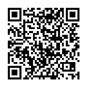 原本那个准影级的岛国忍者认为使用闪光弹的那十秒钟二维码生成
