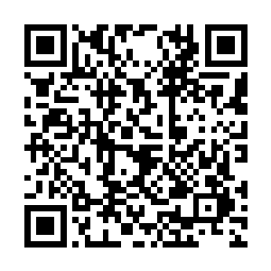 原本那位崔家的重要人物还不知道发生了什么事情二维码生成