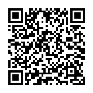 原本那堆积如山的高阶魔核和神品水晶已经全部都消失了二维码生成