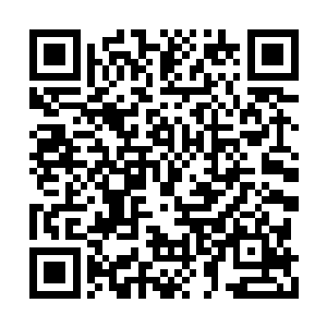 原本金雕最强的这部分人假如能完整的保留下来二维码生成