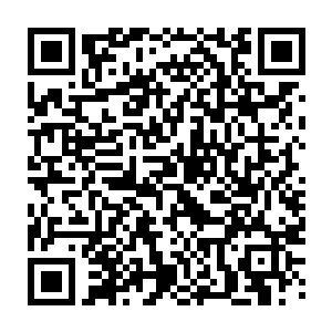 原本金黄和油绿交映成趣的花团锦簇也已被变得青绿的麦田菜子田所取代二维码生成