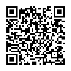 原本饱满和充盈的血肉以肉眼可见的速度枯萎下去二维码生成