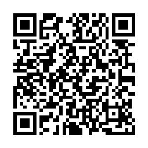 原本高度紧张感觉到疲累的身体恢复了不少生机二维码生成