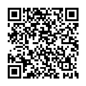 原来……宫欧和君子宴的小女朋友还有亲戚关系二维码生成