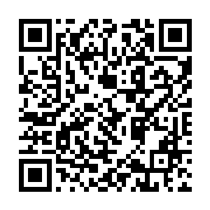 原来从这也可以看得到前几天种下去的那片罗勒……二维码生成