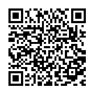 原来他看到了许紫烟等十个女子此时在红绫之上笑得前仰后合二维码生成