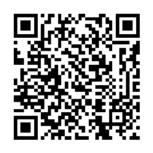 原来以为一个日本的部长级高官就是意外收获了啊二维码生成