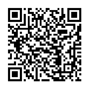 原来凤凰刚才看到最后面的那个家伙脸色有些慌张二维码生成