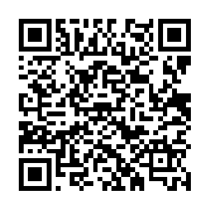 原来县里主要目光都汇聚在洼崮那个中药材市场项目上二维码生成