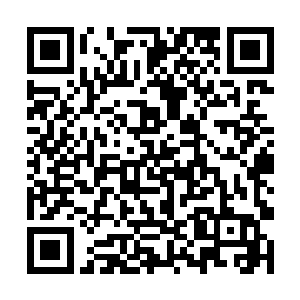 原来女孩子挽起袖子露出半截皓白细腕竟是那么好看二维码生成