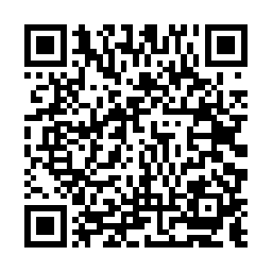 原来小太妹喜欢的那个傻逼男生家里也有一只可爱的狗二维码生成