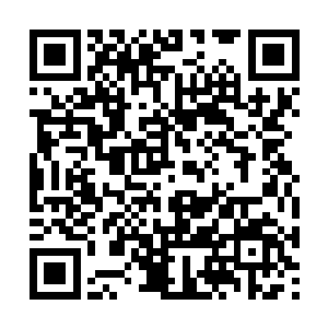 原来庚金精华中的金之本源并没有被他这一拳轰碎二维码生成