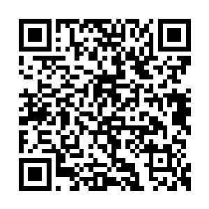 原来我们的国王陛下已经有了两个儿子……不对二维码生成