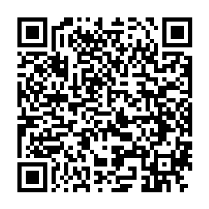 原来整个逐风战区里面所有的天麓全都是这个天水阁楼培育出来的啊二维码生成