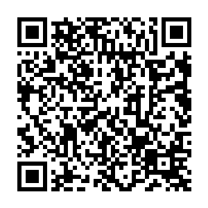 原来是龙傲天已经将杨玲珑将金属性修炼到极致的事情告知了父母二维码生成