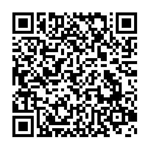 原来这个计划早在当时蔡云和米真真两人大打出手的时候就在进行了二维码生成