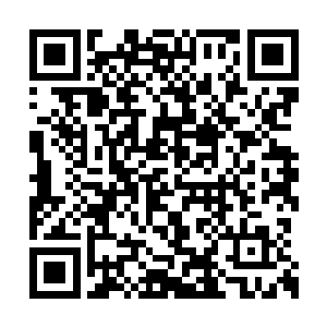 原来这只大白熊身上的附了一道人类巫师的灵魂二维码生成