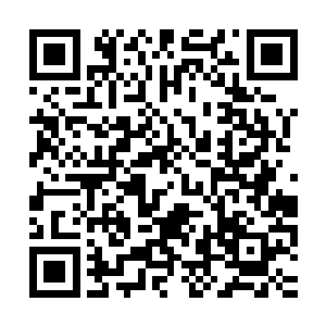 原来这天空拍卖场中竟然有隐藏着不下于二十位的8阶巅峰强者二维码生成