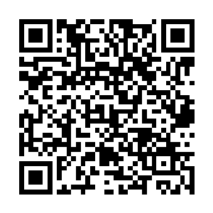 原来这片红雾并非是他之前想象的那样静止不动的二维码生成