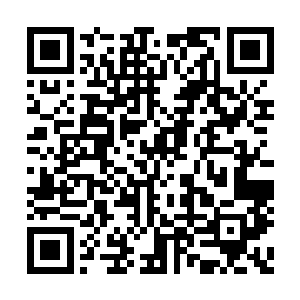 原来金光是要试一下才知道雷天是不是真的好了二维码生成