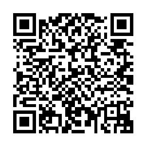 原来阴阳家的人看着林封谨跟随着腾蛇之魂飞入到了方壶山以后二维码生成
