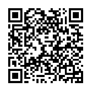 原来阿尔是觉得自己拍戏结束就乖乖地回来酒店了二维码生成