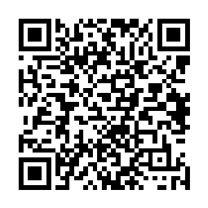 原版黑客帝国在开拍之前可是足足做了好几个月的武术特训二维码生成