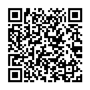 原还以为肃方帝今日会照着预先准备的计划指婚梁思齐二维码生成