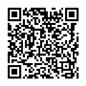 厮杀中的吸血鬼和镇压军不由地将目光投射过来二维码生成